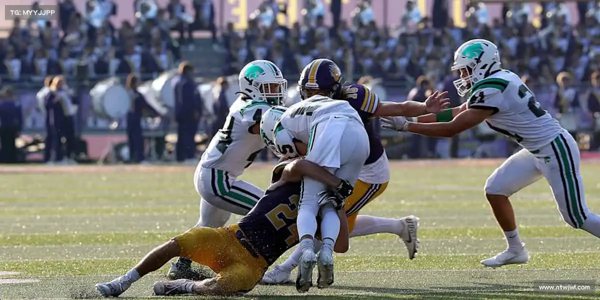 SG胜游——热血集结，共赴每一场精彩赛事！🥊